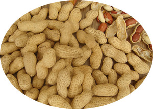 Roasted Jumbo peanut inshell